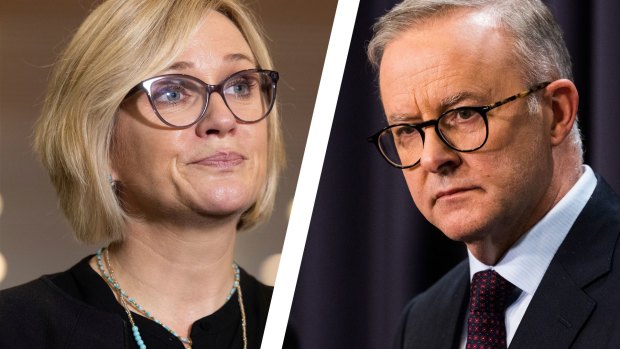 Zali Steggall seeks crowdfunding for extra staff after Albanese’s cuts