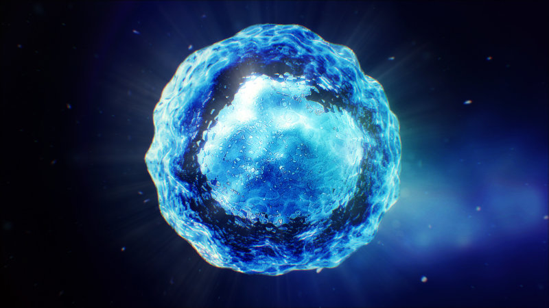 Mesoblast Shares Tumble Again As Investors Pre Empt Fda