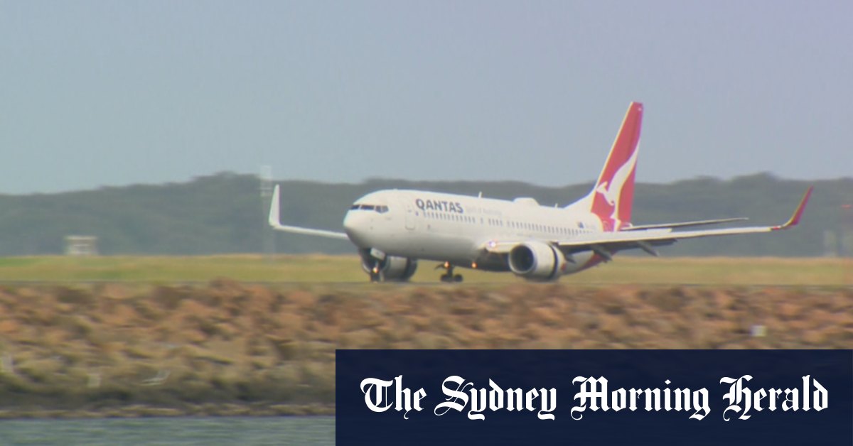 Qantas: money-hungry, late planes, too expensive - Vimarsana News