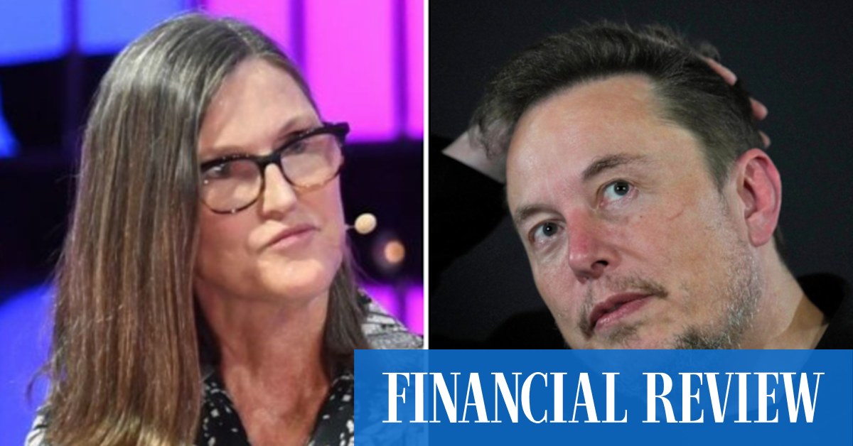 Elon Musk and Cathie Wood in Spaces livestream lash public share markets - Vimarsana News
