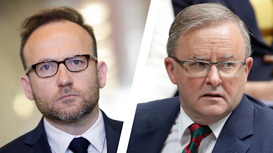 Adam Bandt said young Australians would see Anthony Albanese's comments proof that both Labor and the Liberals were "abandoning climate action". 