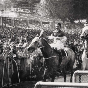 Legend: Roy Higgins brings the 'Goondiwindi Grey' Gunsynd back to the enclosure after his 1972 Cox Plate win.