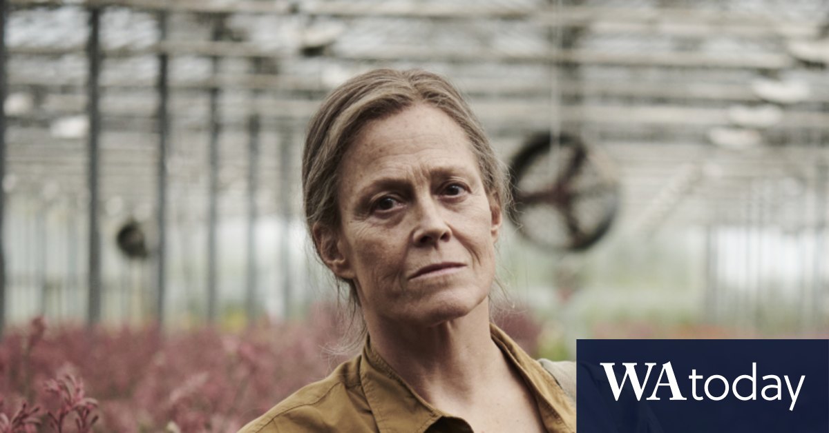 Best new streaming TV shows: Painkiller, Reservation Dogs, Killing it, The Lost Flowers of Alice Hart, Physical, Ahsoka, Mother and Son, Creamerie - Vimarsana News