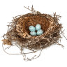 ‘Avian architecture’: Why birds’ nests are truly grand designs