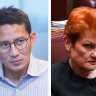 ‘Never insult Bali’: Indonesia minister slams Hanson over foot and mouth claims