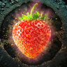 A fungicide used to protect strawberries from mould could render a new British antifungal drug useless before it even hits the market.