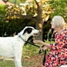 Bronwyn David with her adopted dog Jasper.