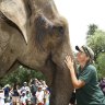 One of world’s oldest elephants, Tricia, nears the end of her life