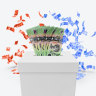 How do donations fund election campaigns? Where does the money come from?
