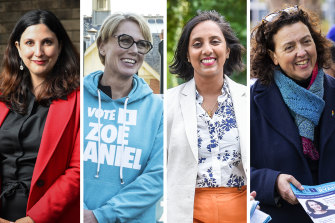 Carina Garland, Zoe Daniel, Michelle Ananda-Rajah and Monique Ryan have toppled Liberal MPs and will join the 47th Australian parliament. 