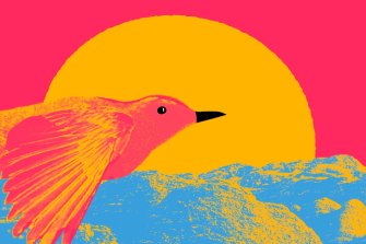To enter Blackbird's website, users zoom in through the eye of this bird and pass a wave of psychedelic shapes.