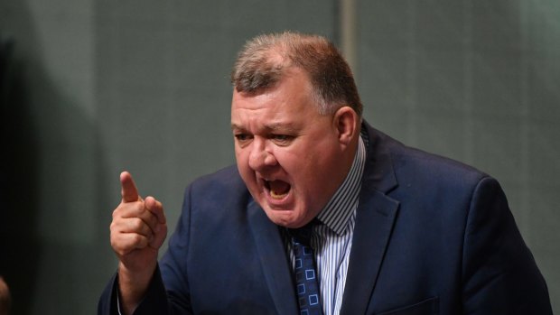 Saved by Scott Morrison's intervention ... Liberal MP Craig Kelly.