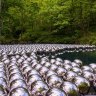 Yayoi Kusama’s Narcissus Garden make it clear that the forest is part of the gallery.