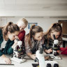 Girls have fallen behind boys in both maths and science subjects, the Trends in International Mathematics and Science Study has revealed.