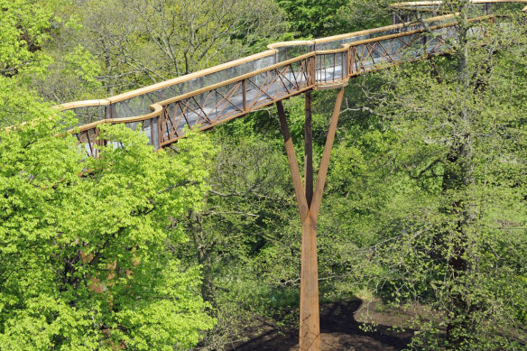 Walk with a view – the Treetop Walkway.