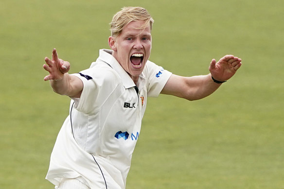 Tasmanian quick Nathan Ellis took his second consecutive nine-wicket haul in the upset win over NSW.