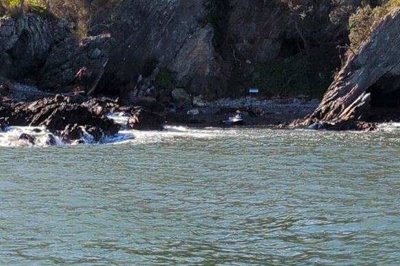 The volunteers on the jetski make contact with the dog on Snapper Island.