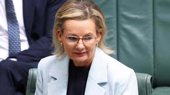 Nationals leader David Littleproud and Opposition leader Sussan Ley take their seats for Question Time at Parliament House in Canberra on Monday 3 November 2025. fedpol Photo: Alex Ellinghausen