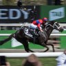 Racing Victoria to vote on relaxing safety measures to get world’s best horses to Cup