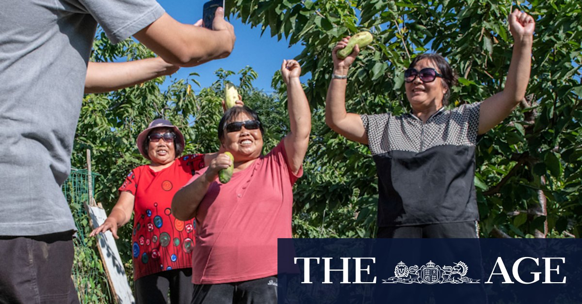 A new kind of influencer: China's grandparents are going viral - Vimarsana News