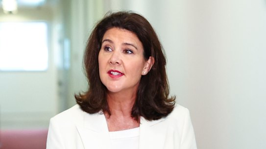 Liberal senator Jane Hume.