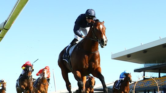 Storm Boy leaves his rivals in his wake in the San Domenico Stakes back in August.