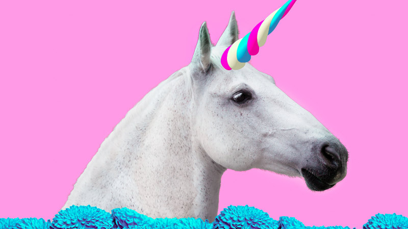 Why are so many obsessed with a creature that doesn't exist?