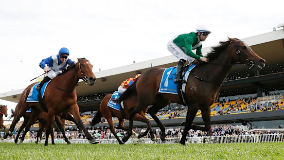 ATC members voted in May to knock back a proposal to sell off Rosehill racecourse.
