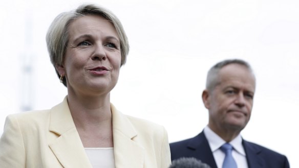 Deputy Labor leader Tanya Plibersek urged Catholic school leaders and parents to stand with public schools in seeking more federal funding.
