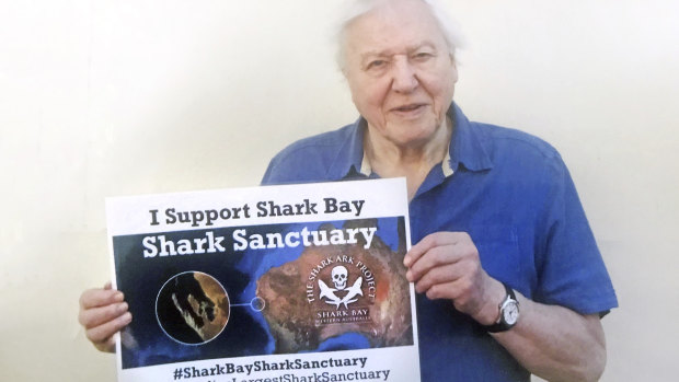 Sir David Attenborough has thrown his weight behind protecting sharks in Shark Bay's marine park. 