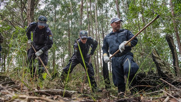 Police commenced a large-scale forensic search in bushlands today as part of the ongoing investigation into the 2014 disappearance of William Tyrrell.