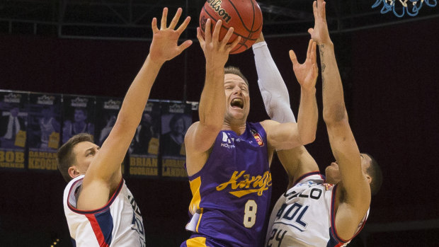 Inside the key: Brad Newley of the Kings shoots during a rearguard action against the 36ers at Qudos Bank Arena.