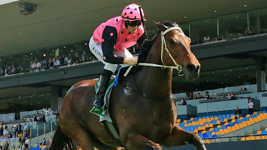Wet-tracker Costello wins the Rosehill Gold  Cup in October over the same course as Saturday’s Lord Mayors Cup.