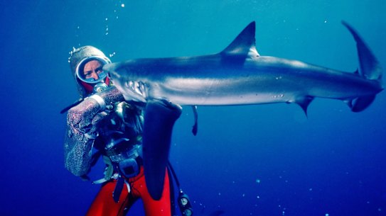 Valerie Taylor swims with a shark.