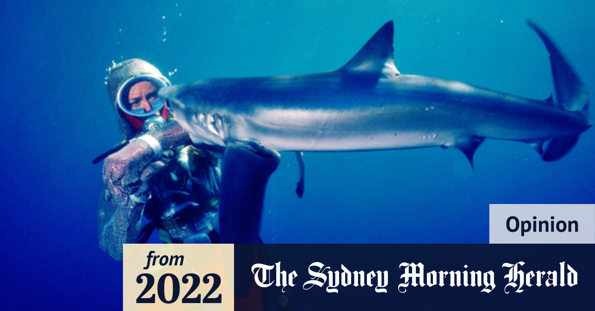 Sydney Shark Attack (Flash Friday #11)