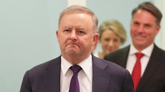 Opposition Leader Anthony Albanese and deputy Labor leader Richard Marles just after he assumed the leadership last year.