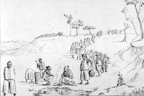 Chinese immigrants head for the Bendigo goldfields in 1854 in this pen and ink drawing by Charles Lyall.