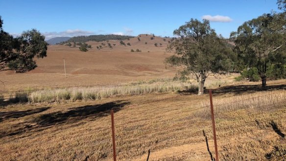 Parched farmland near Gundy, in the Upper Hunter region.