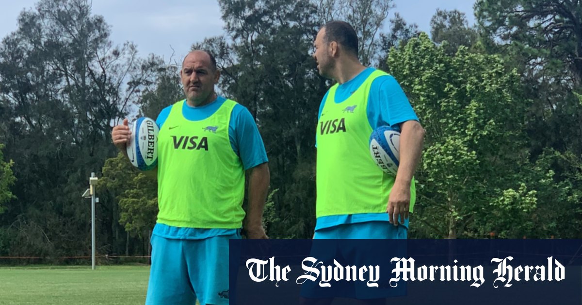 The Rugby Championship 2020 Michael Cheika Starts Work With Argentina