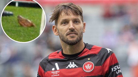 Milos Ninkovic will cross paths with Sydney FC fans for the first time since his defection to the Wanderers in Saturday night’s derby at Allianz Stadium.