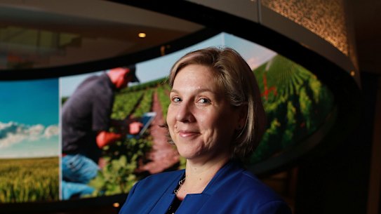 Tesla chairwoman Robyn Denholm.