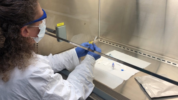 A pharmacy technologist using a biosafety level 2 hood prepares a COVID-19 vaccine candidate.