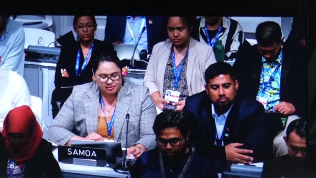 Anne Rasmussen (left), Samoa’s lead negotiator, speaks during a plenary session at COP28.