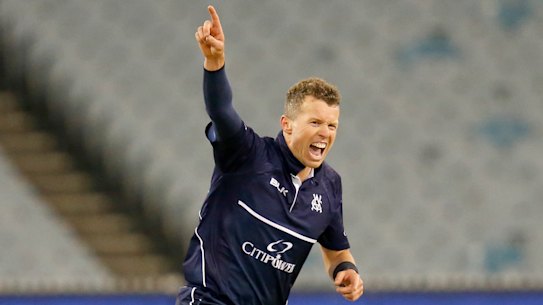 Keeping pace: Veteran Peter Siddle continues to shine with the ball.