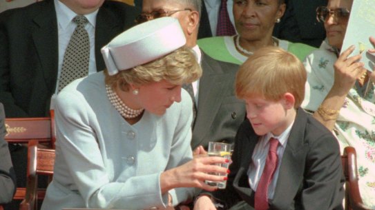 The late Princess Diana and Prince Harry  in 1995.