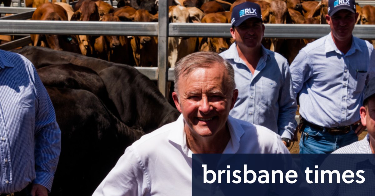 Anthony Albanese menawarkan kepada petani sebagai kursi pengadilan Buruh di Queensland