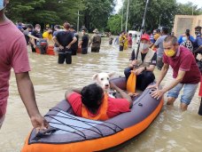 Malaysian MP Ong Kian Ming (with paddle) and other volunteers help with the rescue effort amid flooding in Selangor state.