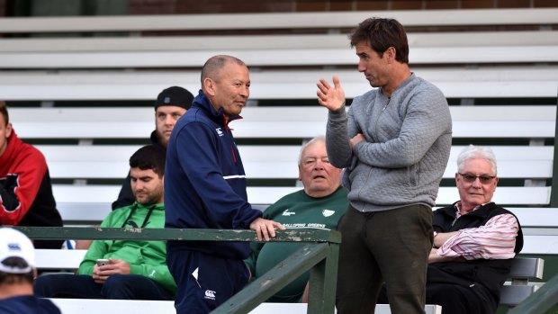 Friendship: England coach Eddie Jones chats with Andrew Johns at Coogee Oval in 2016. 