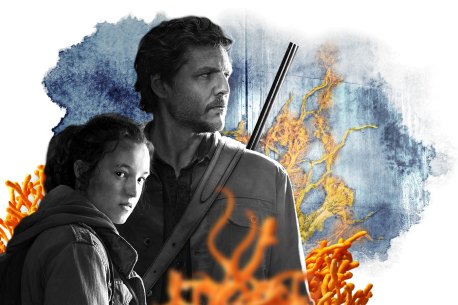 Cordyceps fungi featured in "The Last of Us" HBO seriesÂ explainer art. Digital treatment Matt Davidson