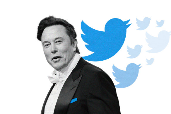 Elon Musk had a plan when buying Twitter, its Social Media as a